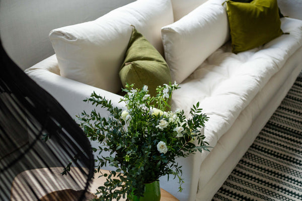 The living room essential : Adar